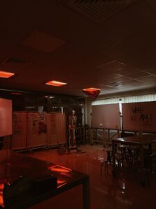 WhatsApp Image 2024-03-12 at 1.02.56 PM