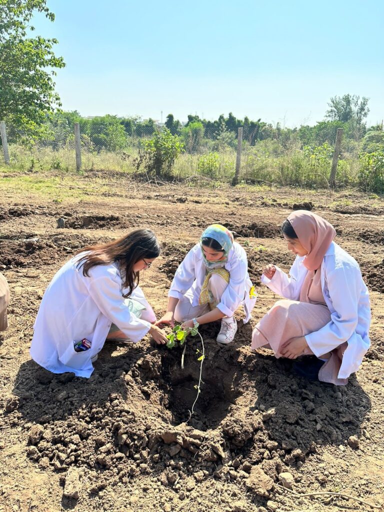 Shifa College of Medicine participates in Shifa Foundation’s Tree Plantation Initiative at Malpur 3 3 4