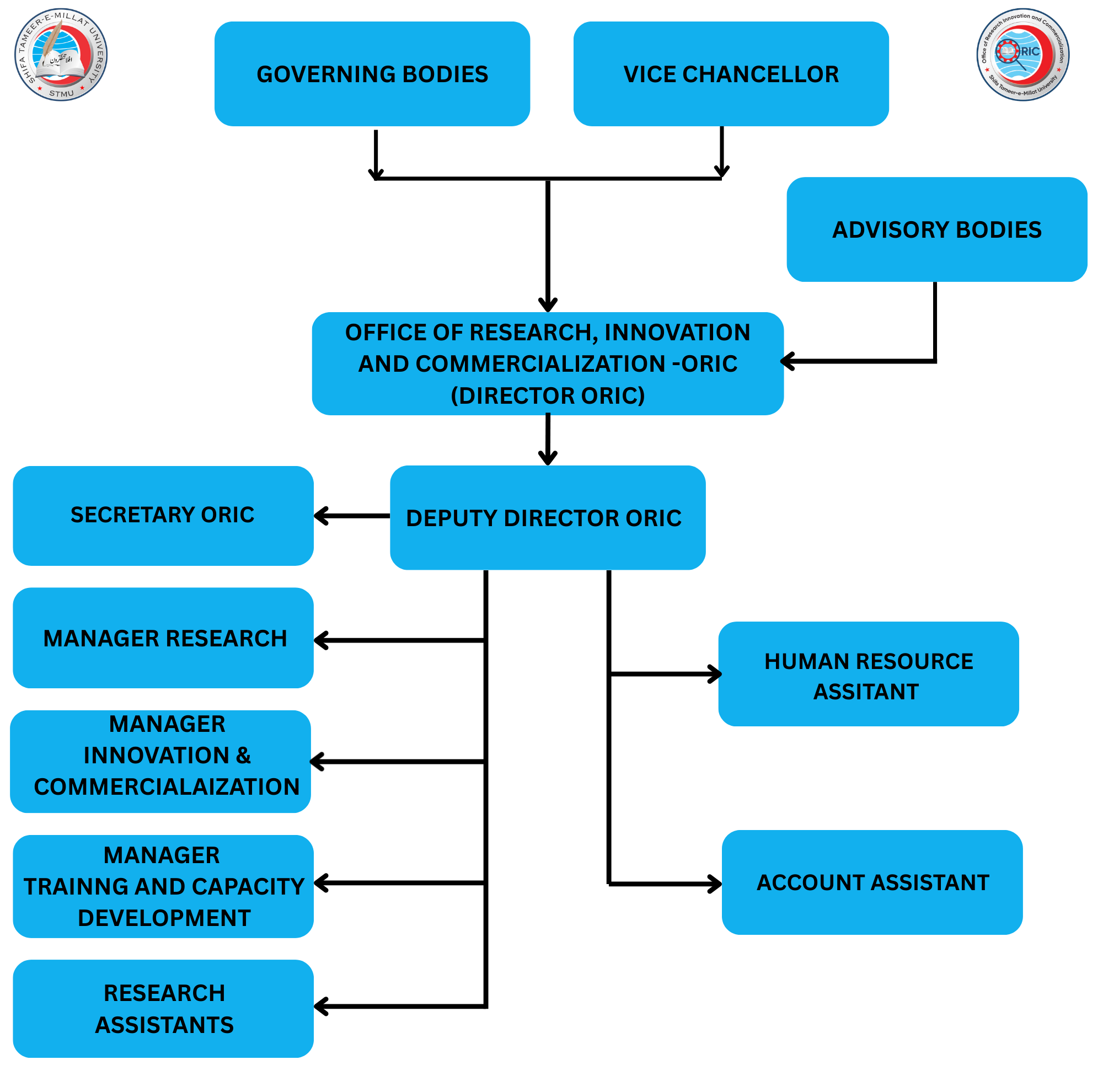 OFFICE OF RESEARCH INNOVATION AND COMMERCIALIZATION ORIC DIRECTOR ORIC GOVERNING BODIES ADVISORY BODIES VICE CHANCELLOR SECRETARY ORIC DEPUTY DIRECTOR ORIC MANAGER RESEARCH BIOSTATISTICIAN RES 3